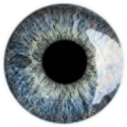 image (83)