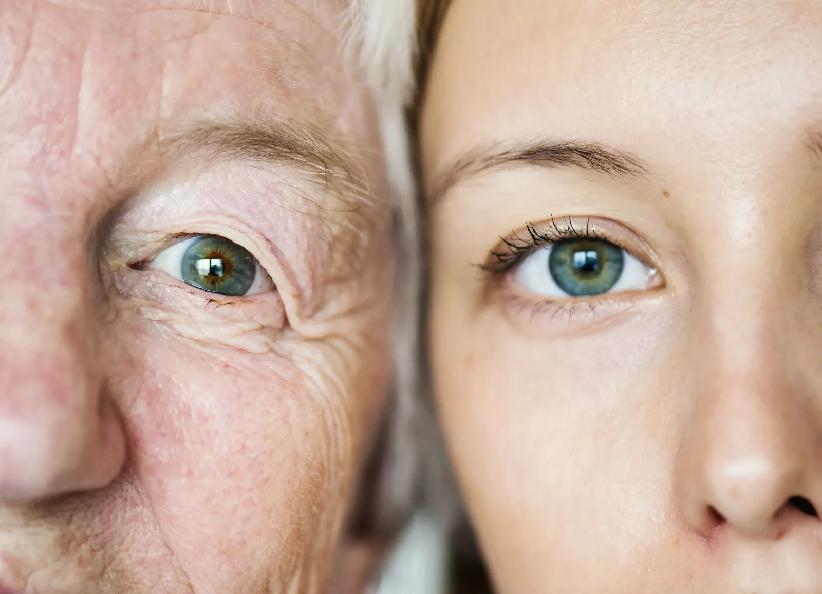 Glaucoma Screening in Harrisburg, NC What to Expect
